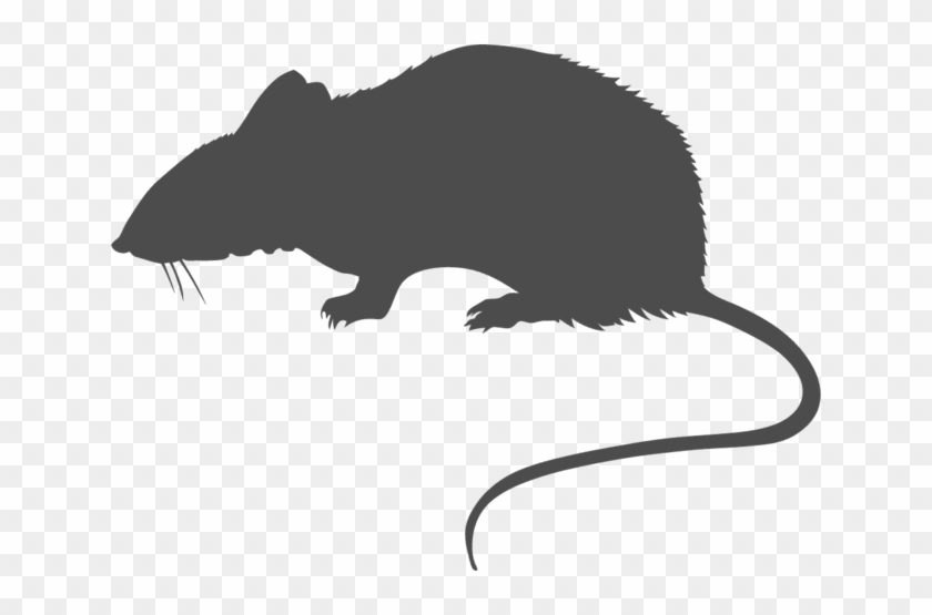 Rat Sihlouette Png - Rat Silhouette Clip Art #615500