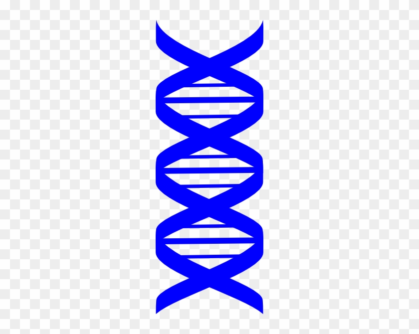 Dna Strand Clipart #615965