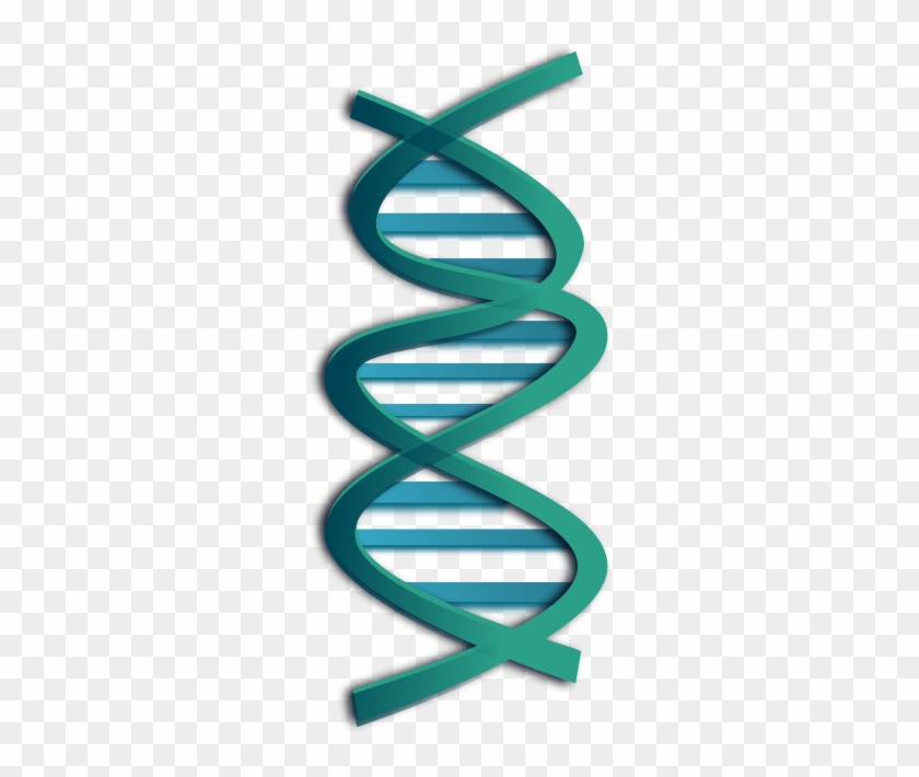 Dna Clipart - Dna Clip Art #616009