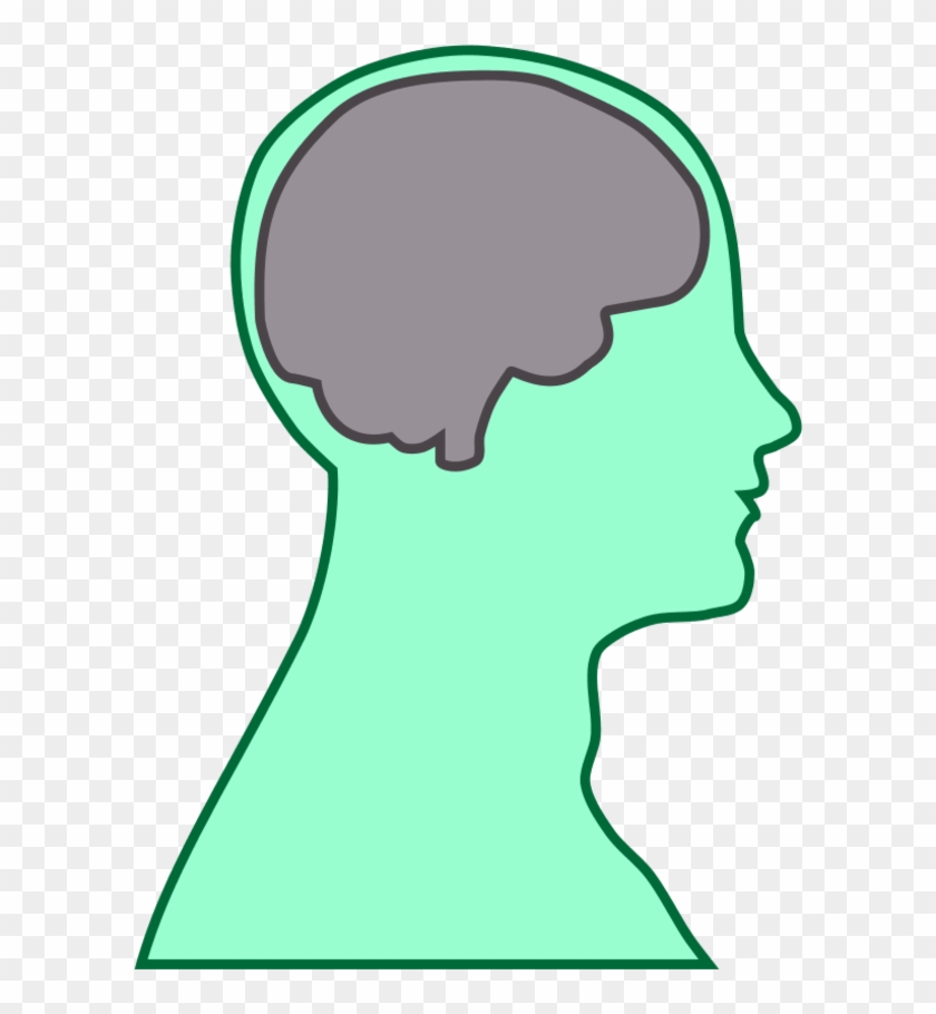 Brain Human Man - Brain Clip Art #616021