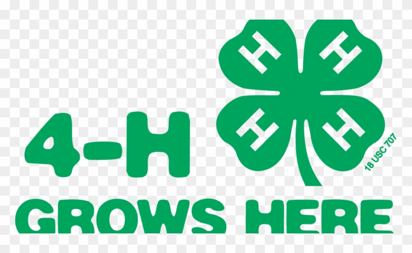 Complete List Of Results From The Jefferson County - 4 H Clover #616072