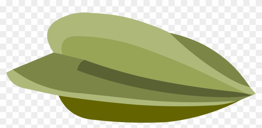 Starfruit Seed - Pixabay #616373