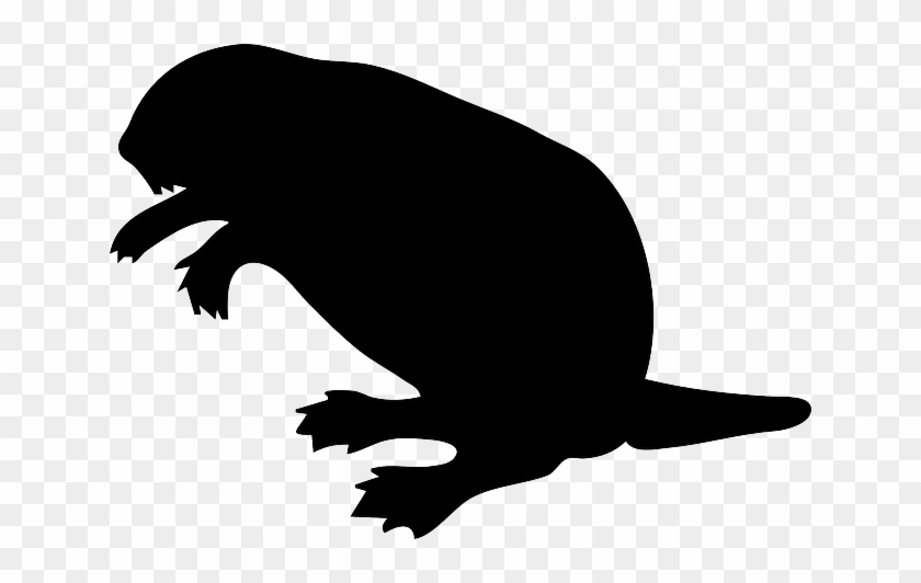 Silhouette, Beaver, Wood, Tail, Dam - Beaver Clip Art #616470