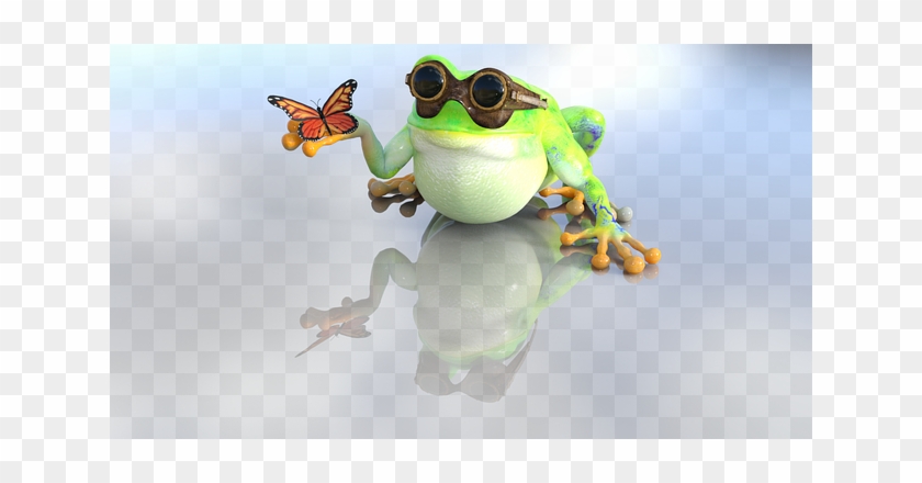 Frog, Toad, Nature, Butterfly - Sapo Con Una Mariposa #616574