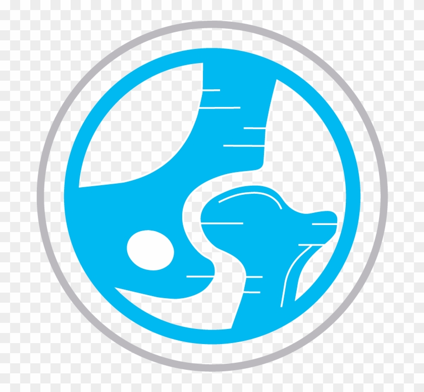 Hip Joint Icon Png #616617