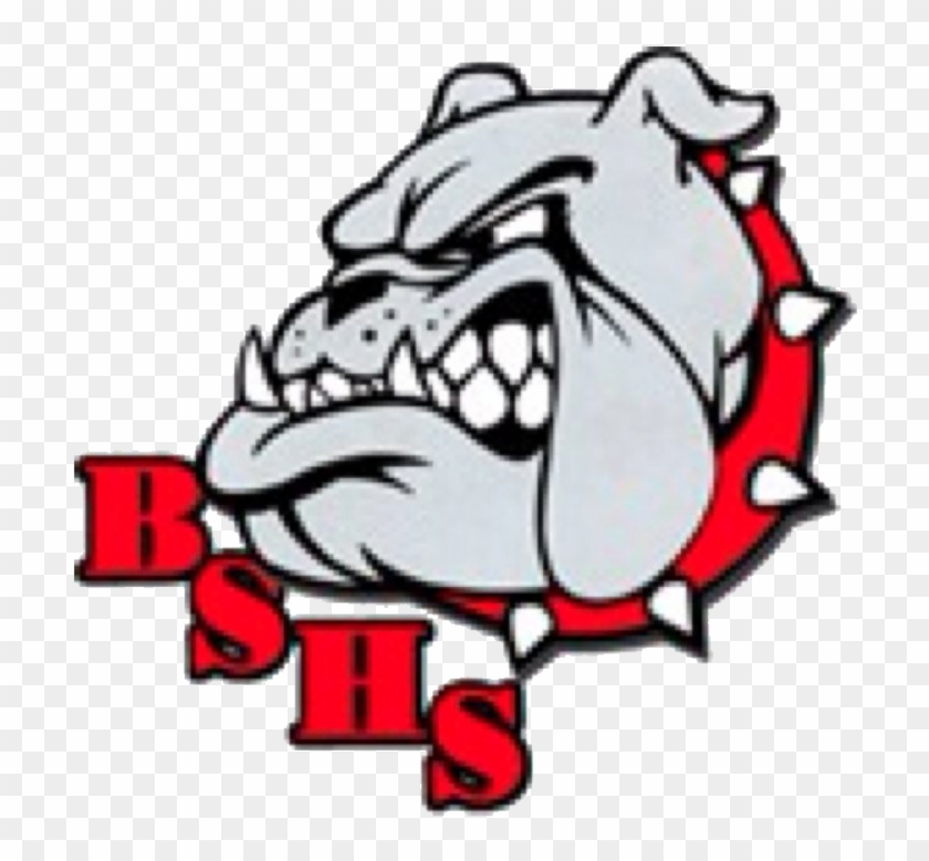 Boiling Springs Contest - Jay M Robinson High School Logo #616728