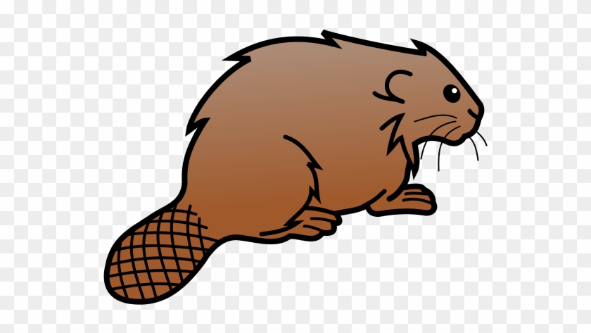 Eurasian Beaver Beaver Dam Inkscape Whiskers Clip Art - Eurasian Beaver Beaver Dam Inkscape Whiskers Clip Art #616996