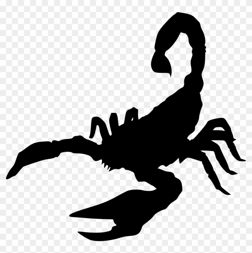 Png File Svg - Scorpion Silhouette #617034