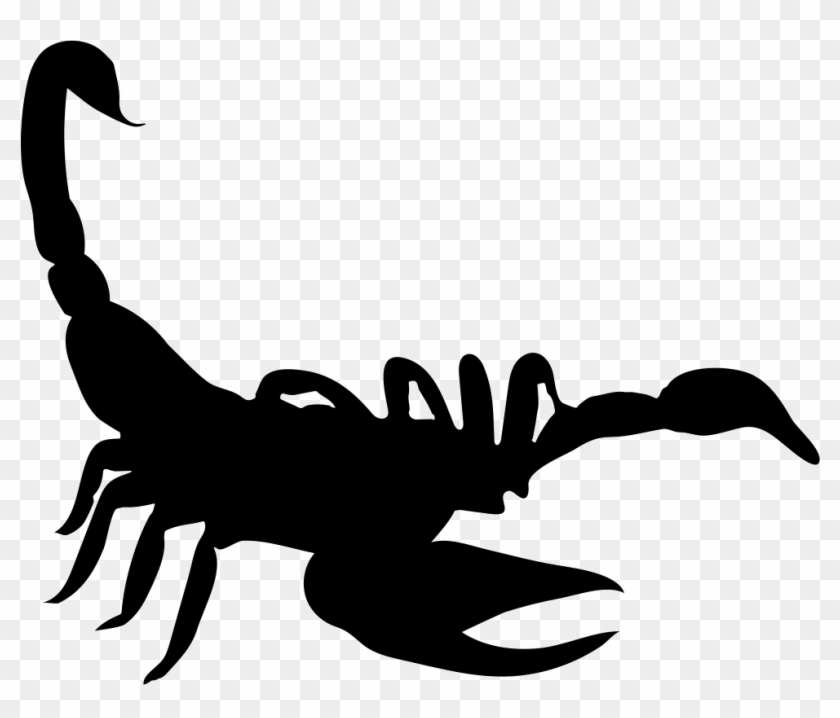 Png File Svg - Scorpion Icon #617042