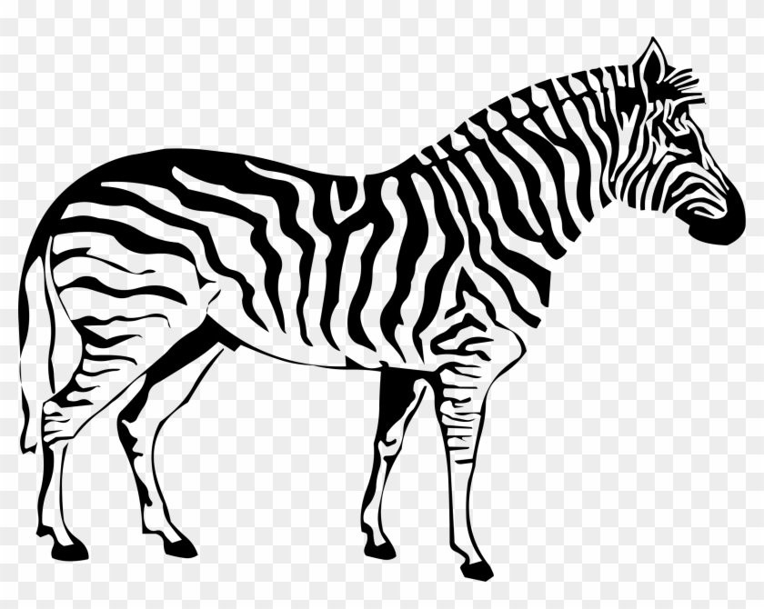 Zebras Coloring Pages Cute Zebra Printable Pictures - Colouring Page For Zebra #617076
