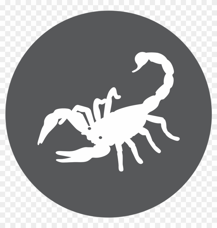 Scorpion #617103
