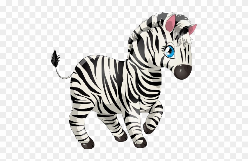 Cute Baby Zebra Pictures - Small Picture Of Zebra #617113