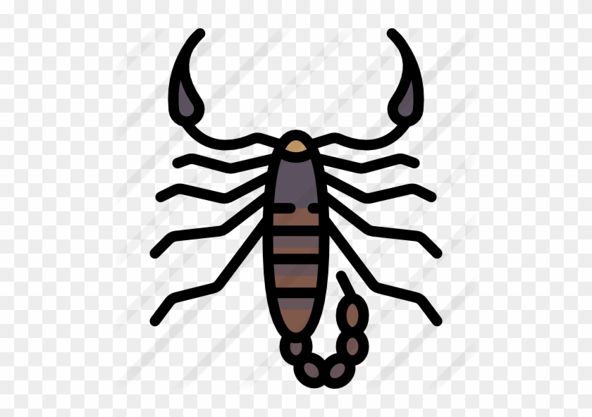 Scorpion - Scorpion #617417