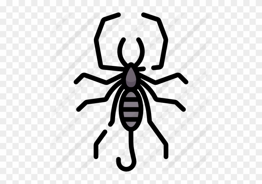 Scorpion - Scorpion #617435