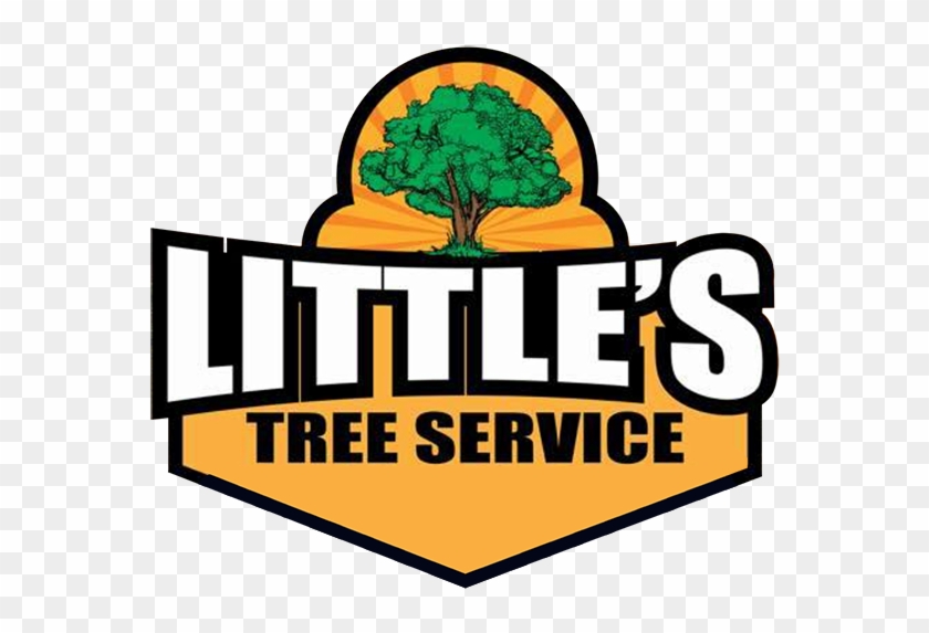 Tree Trimming Services - Tree Trimming Services #619243