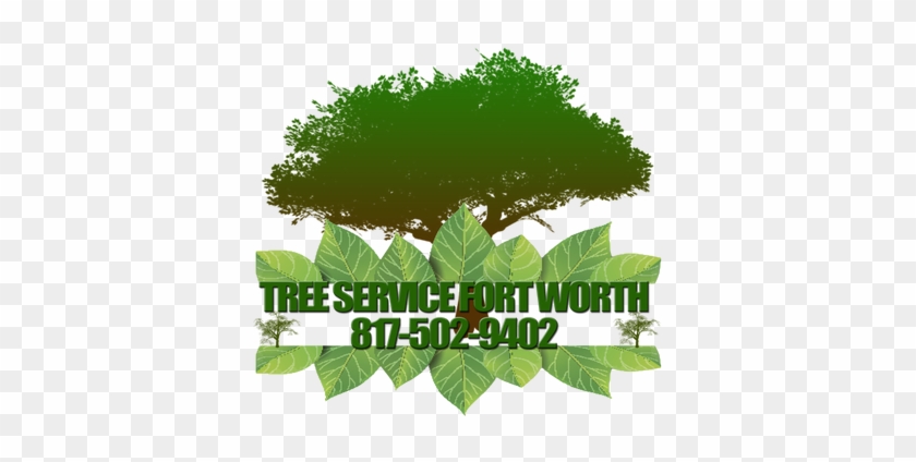 Tree Service Fort Worth Is A Leader Tree Service Provider - Love #619253