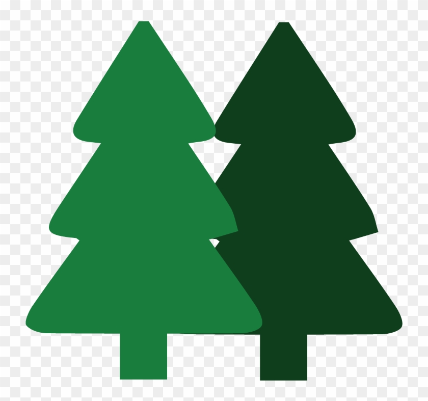 Tree Removal Company With Trimming And Stump Grinding - Christmas Tree #619392