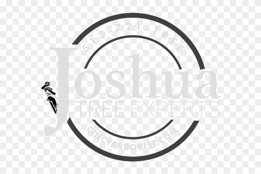 Joshua Tree Experts - Mercedes Benz Star #619545