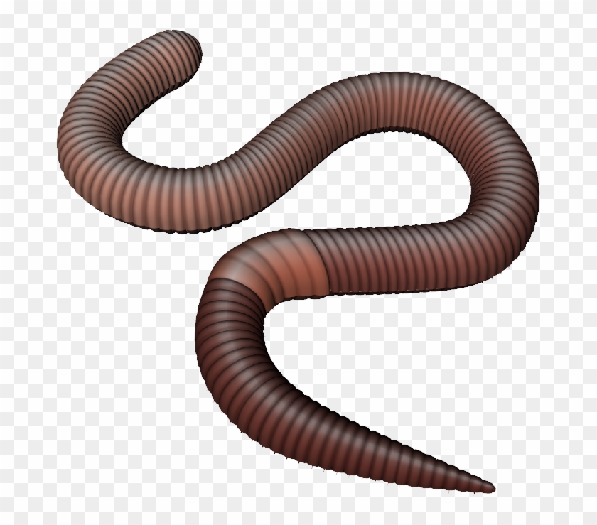 Earthworm Clip Art - Earthworm Clip Art #619631