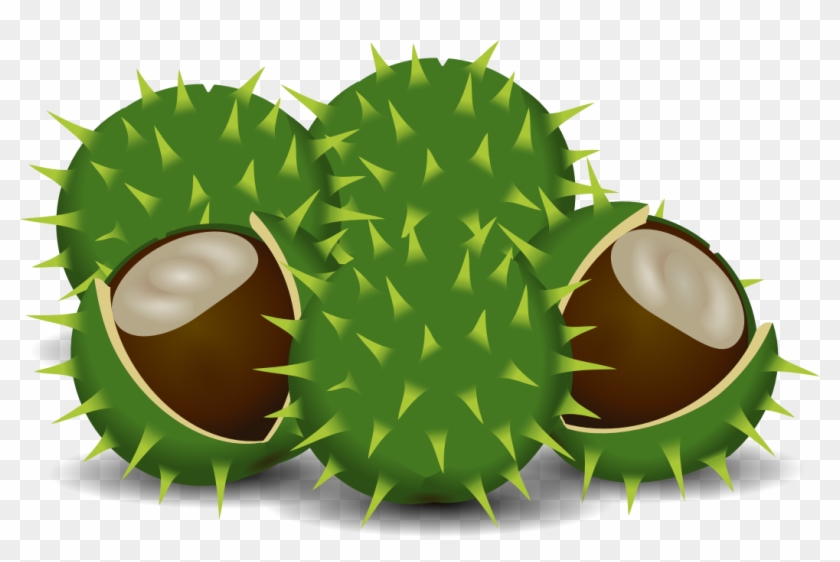Clip Arts Related To - Clip Art Chestnut #619827