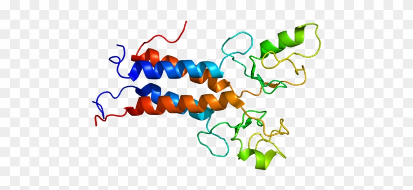 Brca1 - Brca1 Gene #620899