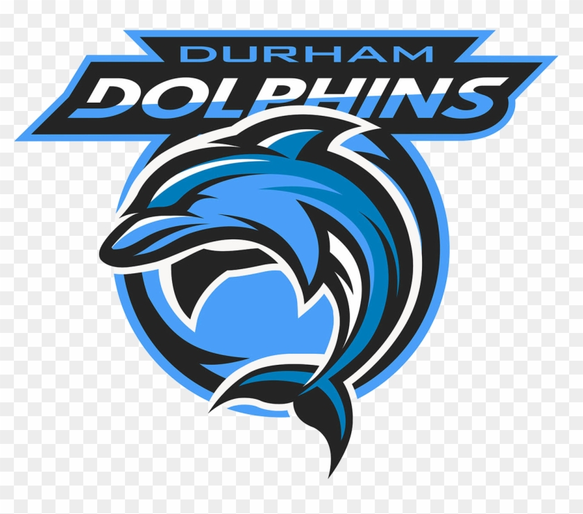 Dolphin Sports Logo #621110