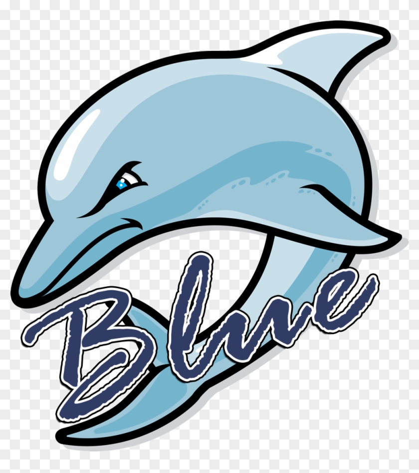 Blue Dolphins Logo - Fort Myers Middle Academy #621164