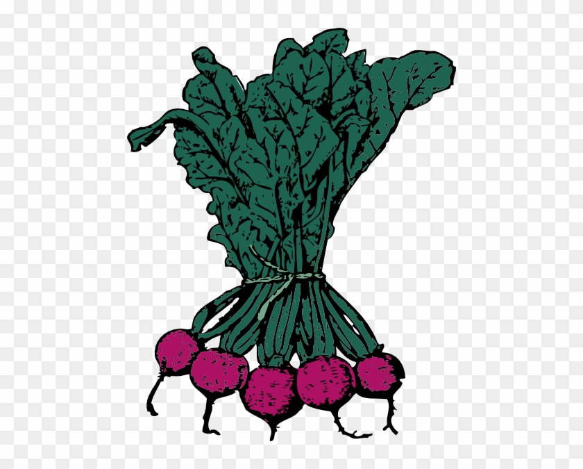 Beets Clip Art #622038