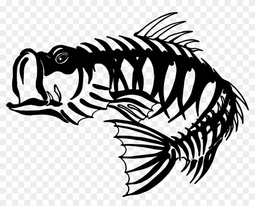 Free Bass Skeleton Cliparts, Download Free Clip Art, - Bass Fish Skeleton #622082
