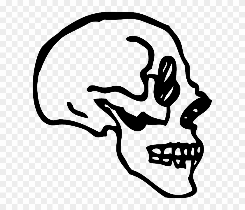 View, Profile, Skull, Human, Cartoon, Bones, Side - Cartoon Skull Profile #622126