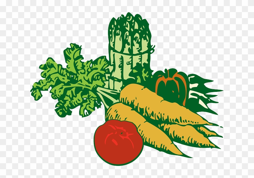 Green, Food, Fruit, Drawing, Plants, White - Vegetables Clipart Png #623148