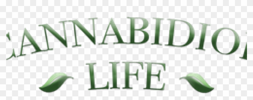 Cannabidiol Life Review - Cannabidiol Life #623160