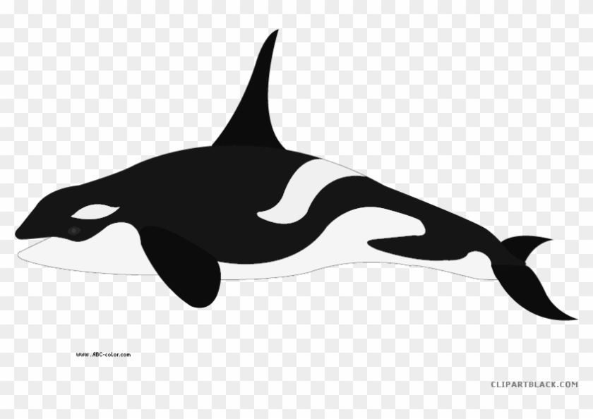 Orca Animal Free Black White Clipart Images Clipartblack - Касатка Клипарт #623492