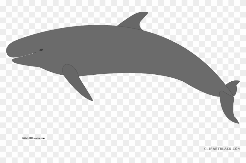 Killer Whale Animal Free Black White Clipart Images - Clip Art #623521