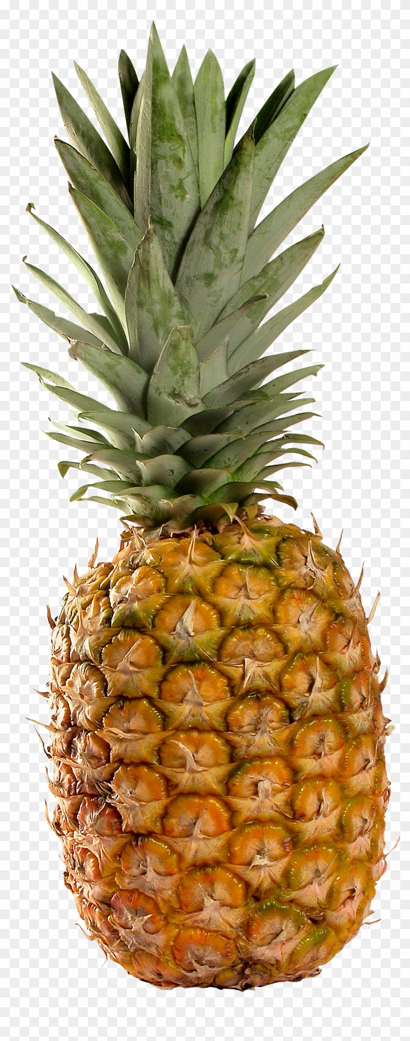 Pineapple Png #623562