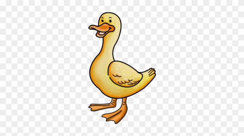 Duck - Duck #623847