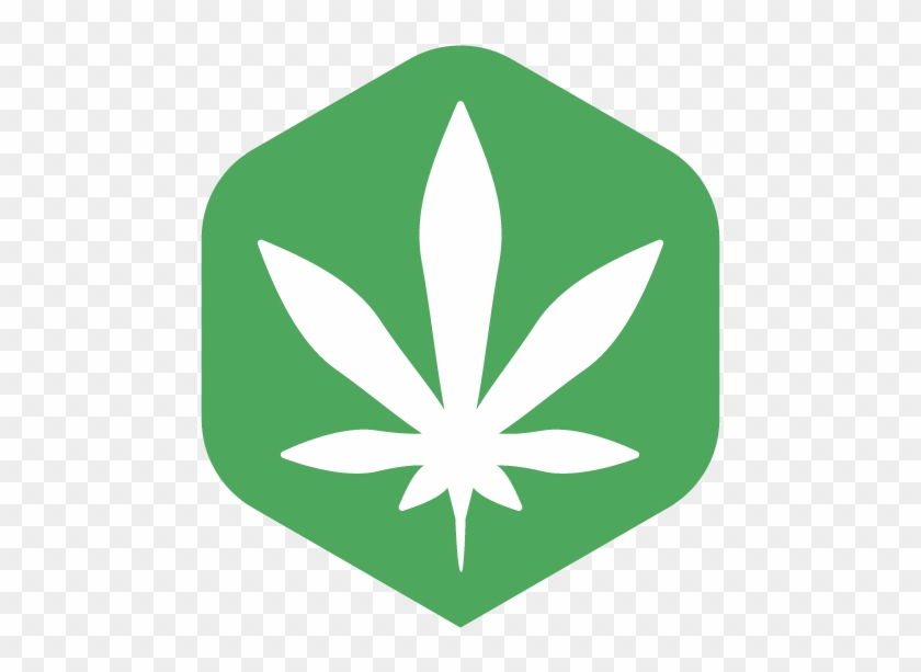 Cannabis Smoking Marijuana Cannabidiol Cannabis Shop - Cannabis #623904