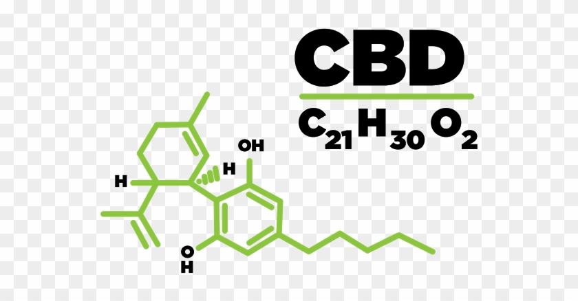 You May Already Have Heard About Cannabidiol In The - Thc Molecule #623908
