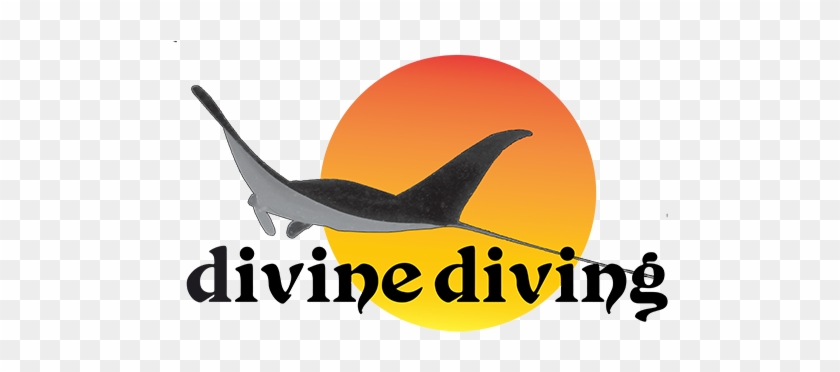 Divine Diving #623959
