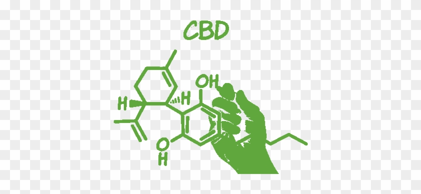 Cannabidiolo-news Green - Cannabidiol #624087