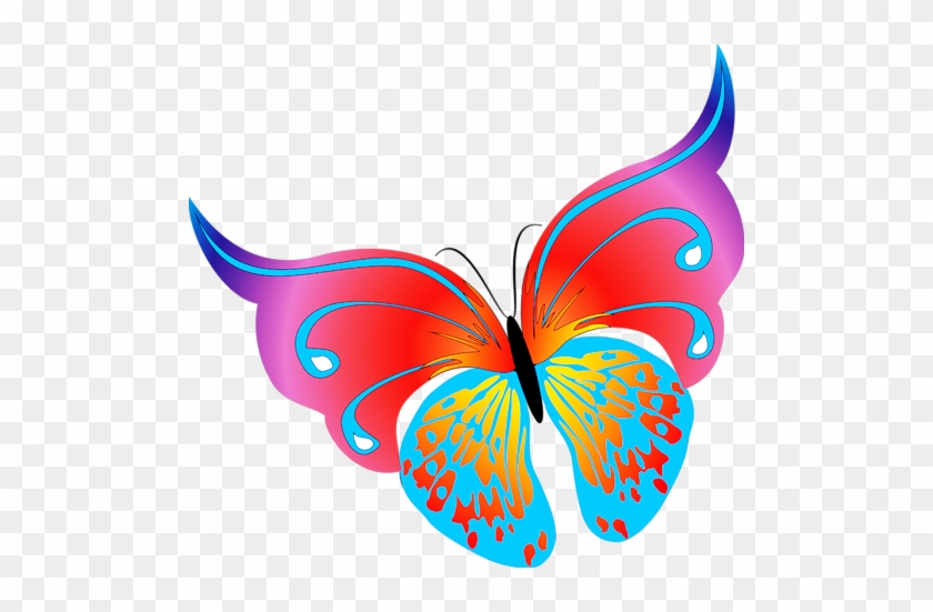 [ Img] - Butterfly Vector #624436
