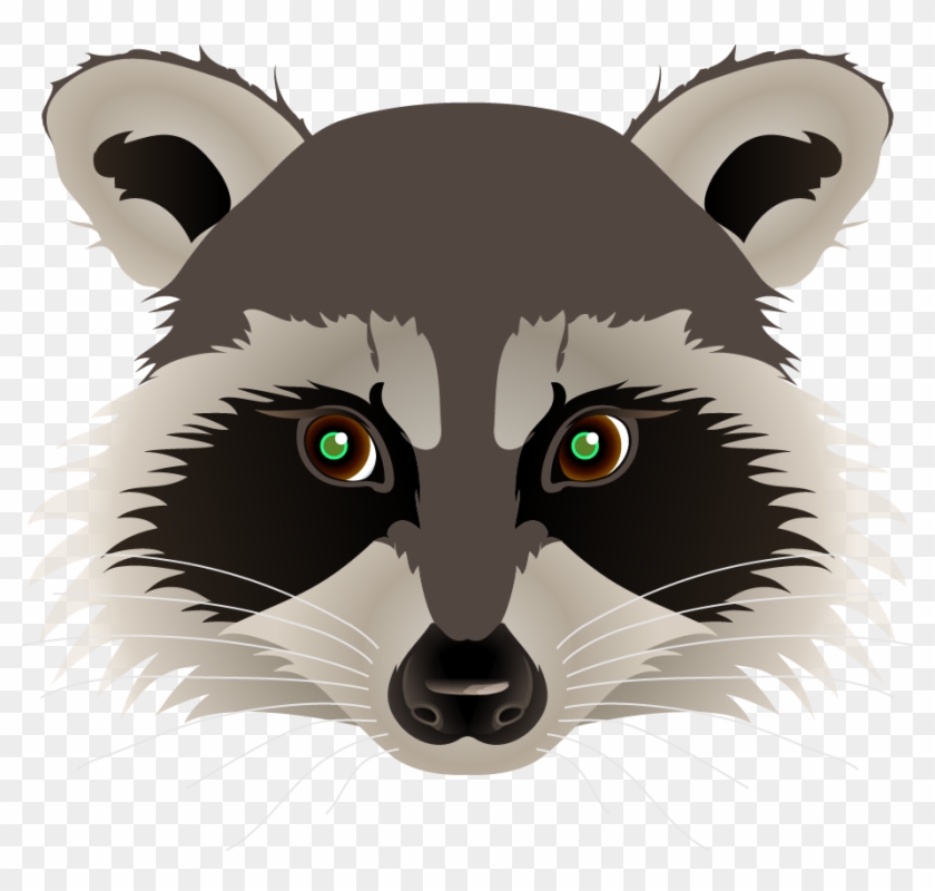 Cartoon Raccoon Drawings Related Keywords & Suggestions - Raccoon Head Png #624667