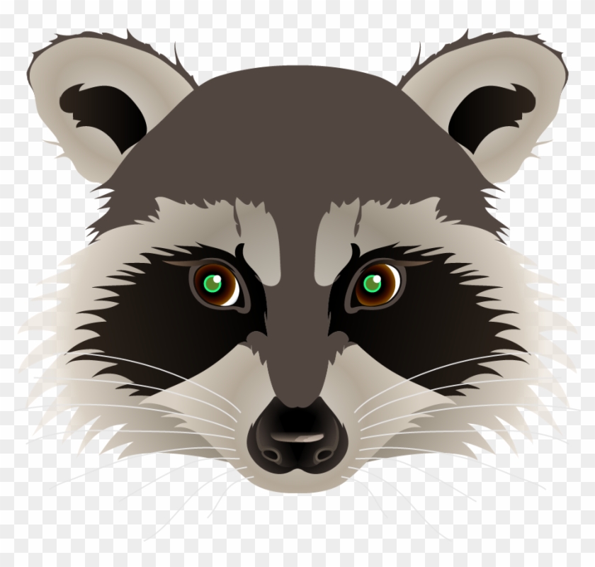 Cartoon Raccoon Drawings Related Keywords & Suggestions - Raccoon Head Png #624667