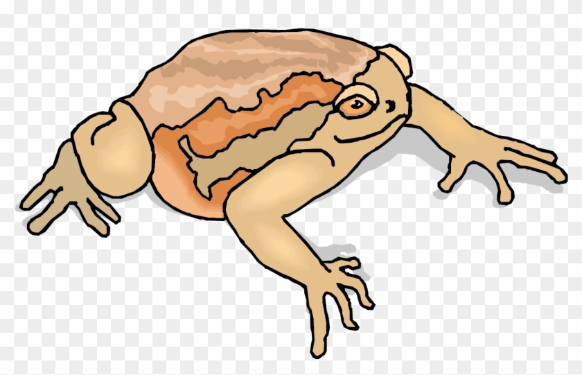 Toad Clip Art - Toad Clip Art #624833