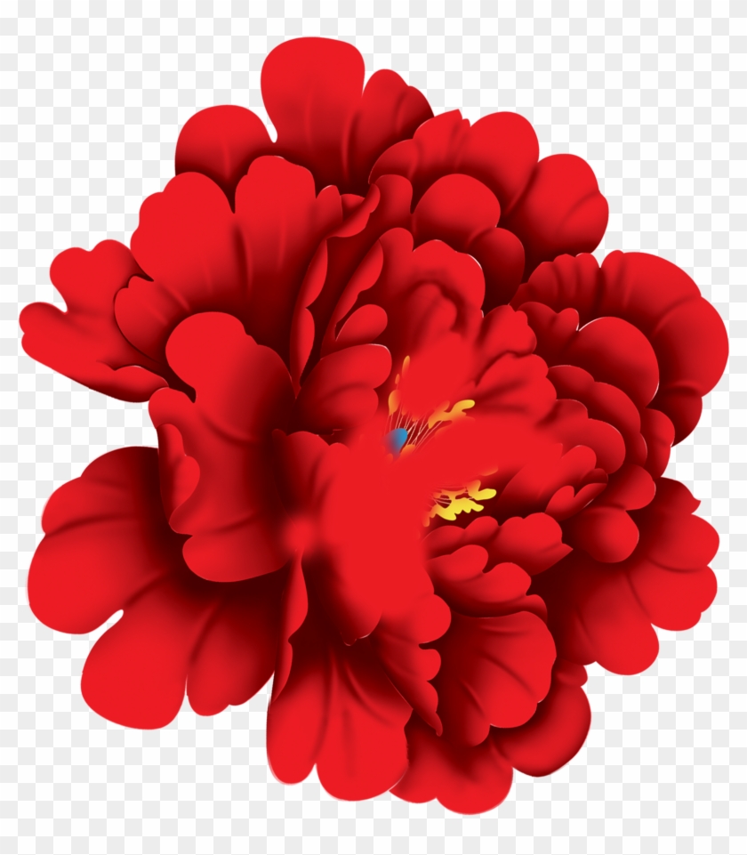 Floral Design Moutan Peony Flower - Floral Design Moutan Peony Flower #625164