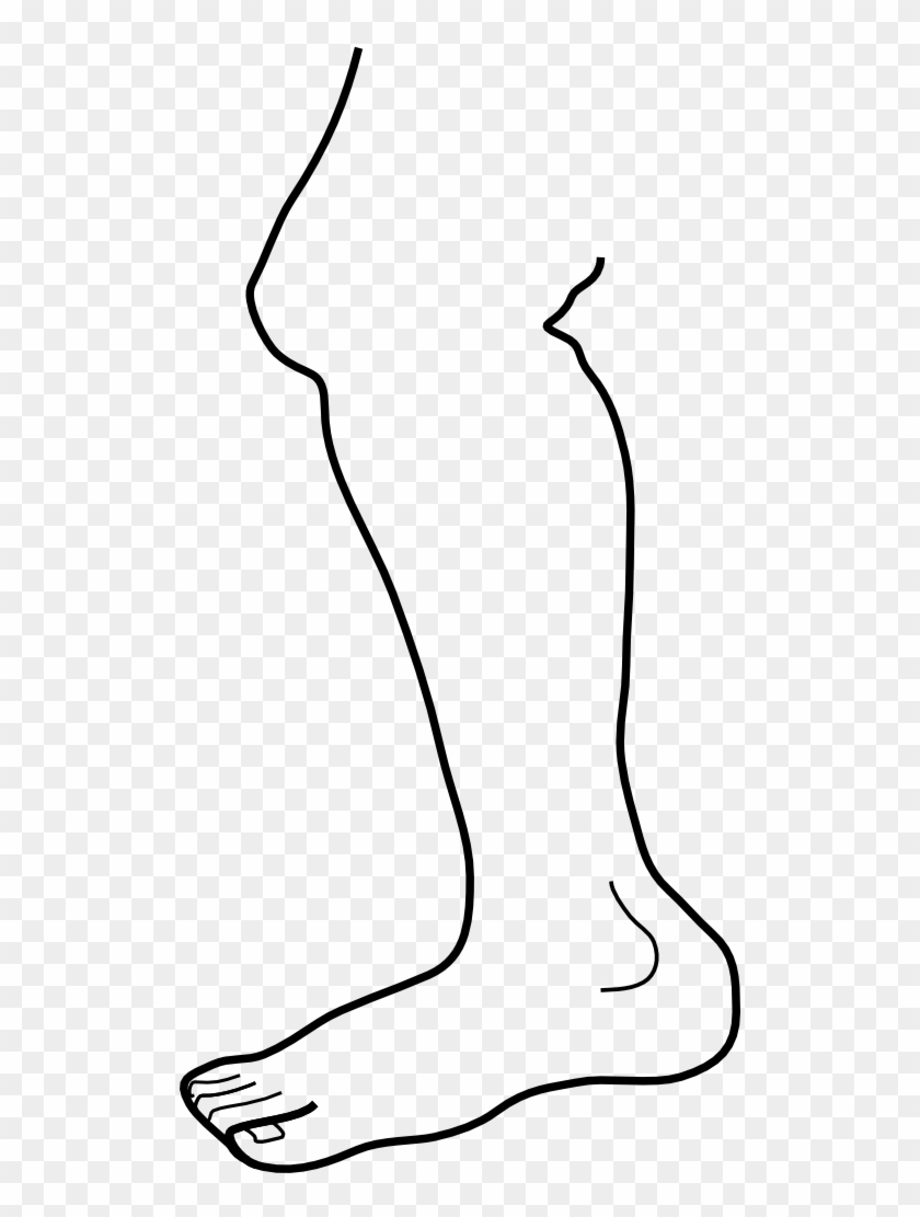 Leg B W Clipart - Leg Clip Art Black And White #625078