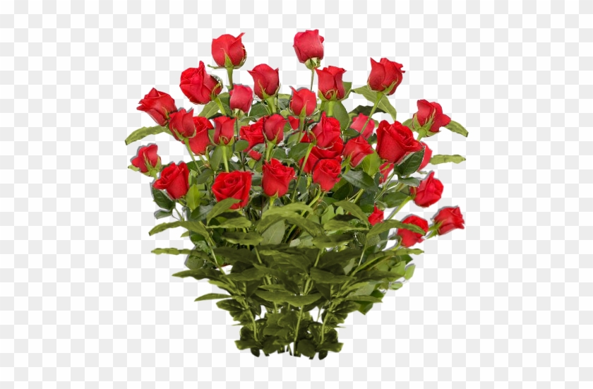 Red Roses Png - Good Day My Friend #625171