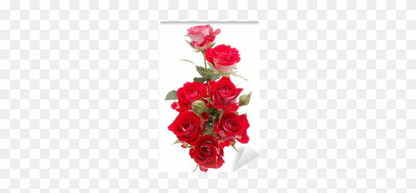 Red Rose Flower Bouquet Isolated On White Background - Rose Flower #625173