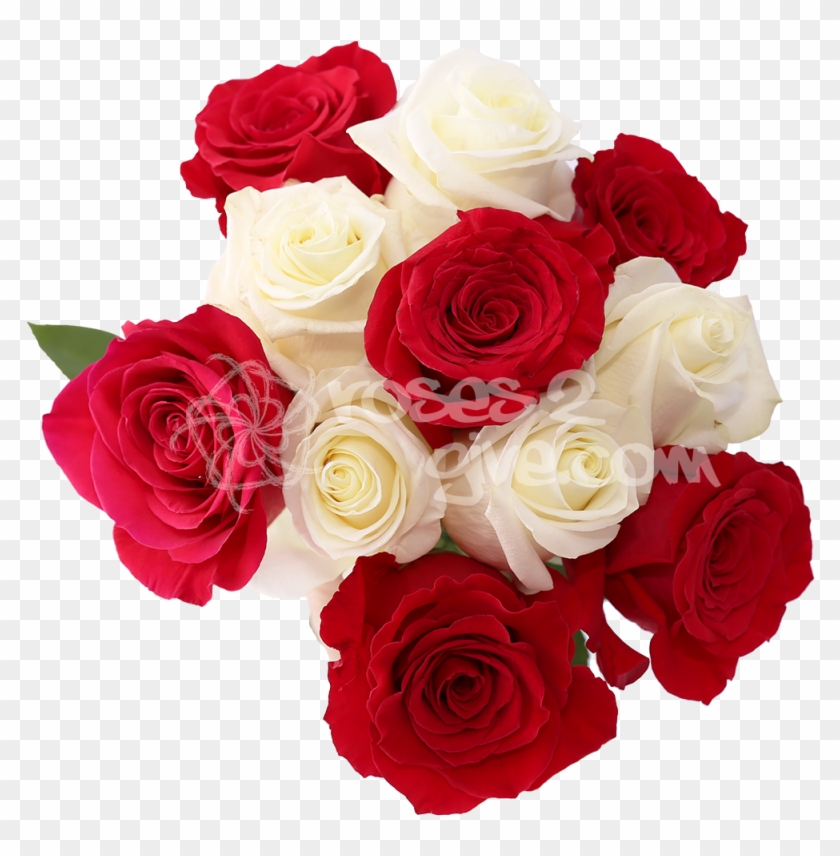 White - Red Combination - White And Red Rose Flowers Images Png #625277