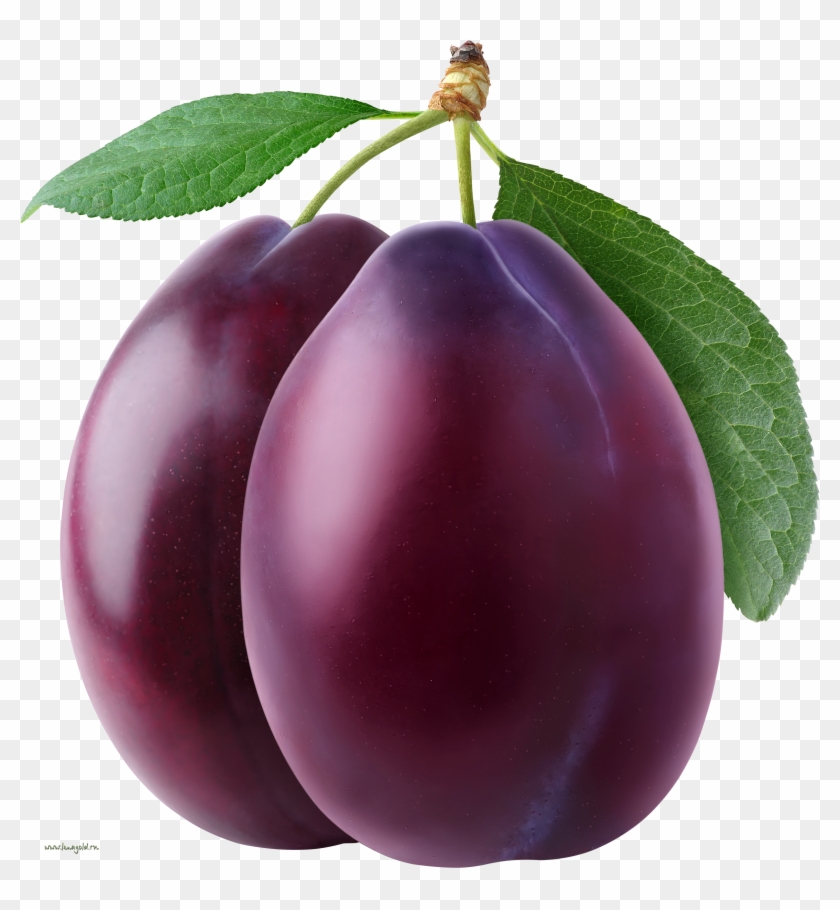 Plum - Plum Transparent #625617